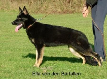 Ella von den Bärfallen