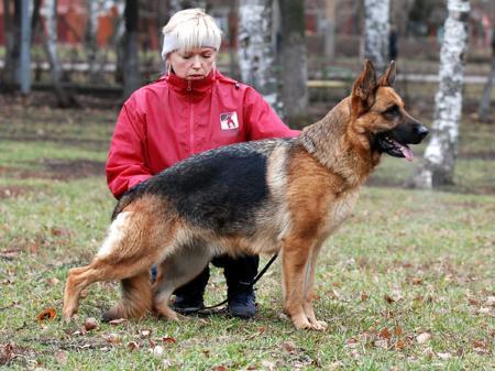 CHEMP RUS Legerland Rizhaya Sonya