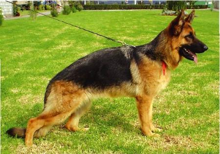 Larissa di Casa Caputi