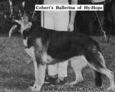 Cobert's Ballerina of Hy-Hope
