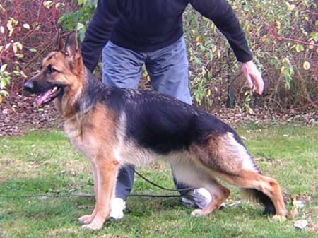 Vanouk de Marne la Vallee