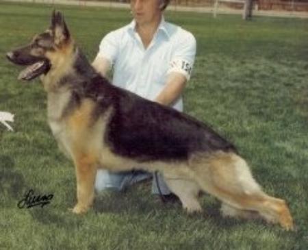 2X SELECT CH (US) Sequel's Lonnie V Glisando