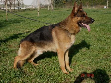 Ben Von Der Bermbacher Scheune