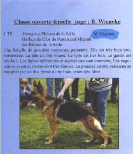 SG (BELGIUM) news des plaines de la selle