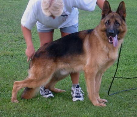 V9 (PAK 2008) Tycoon von Baccara