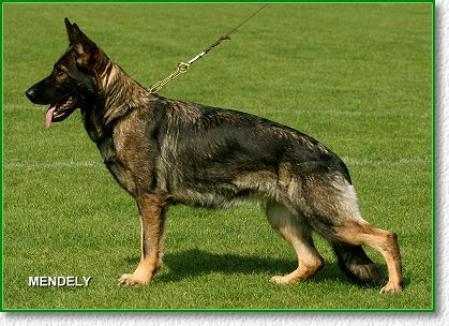 V Pollyra vom Salztalblick