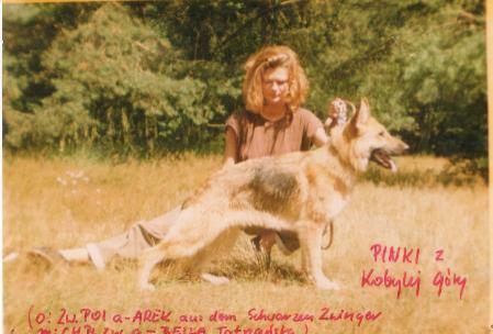 V Pinki z Kobylej Góry