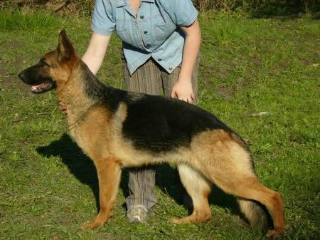 EXC Bessy von Abington's Jessy