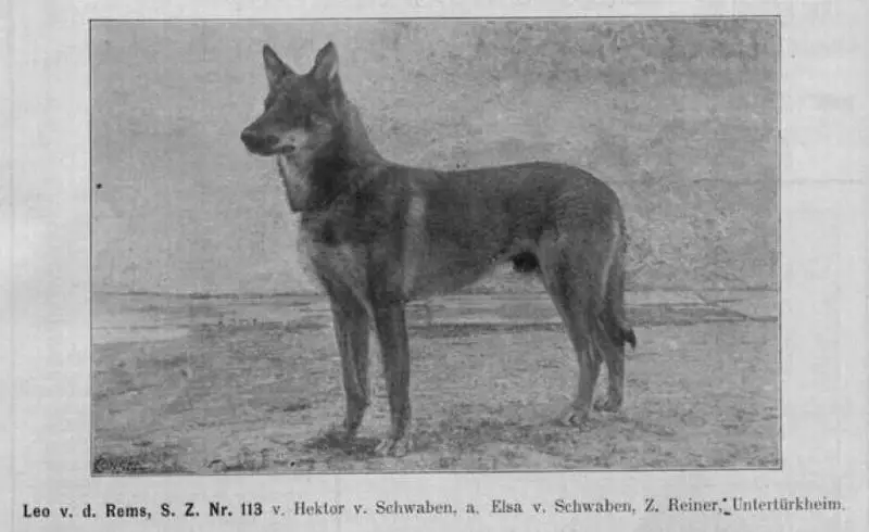 Leo von Niedersachsen (fr. von der Rems)