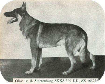 Olav von der Starrenburg