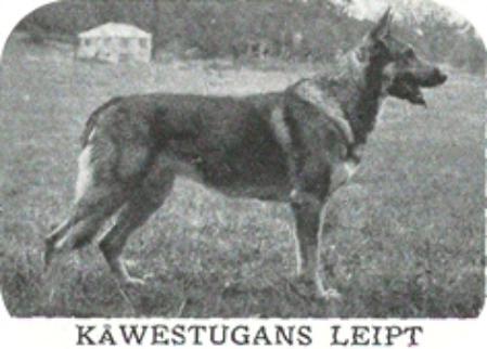 Kåwestugans Leipt