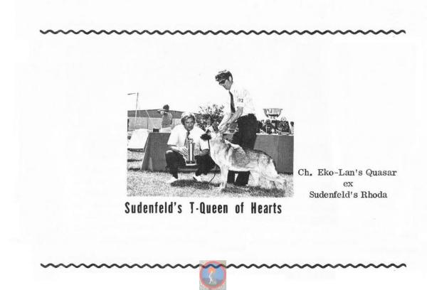 Sudenfeld's T-Queen of Hearts