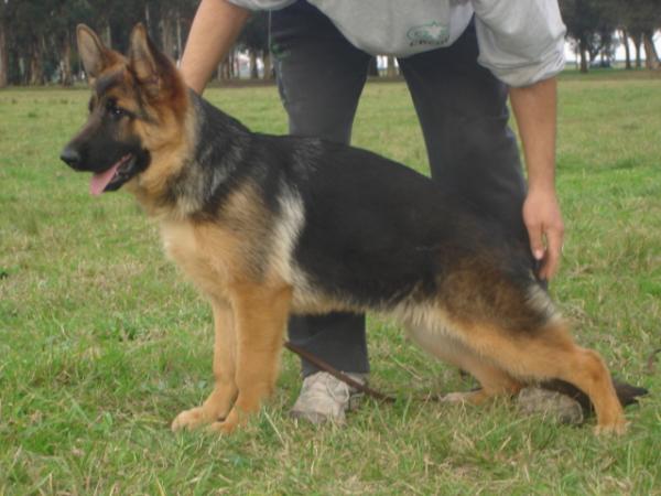 Nana von Furstemberg