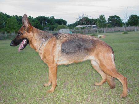 Laola in Regnum-Mariannum