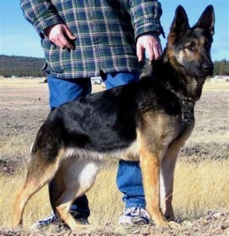 Rosa z Pohranicni straze