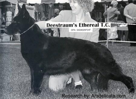 Deestraum's Ethereal