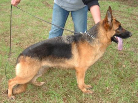 V1 (PH) Maya of Greenwater