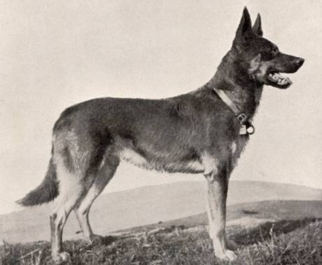 Klaus von Wenden