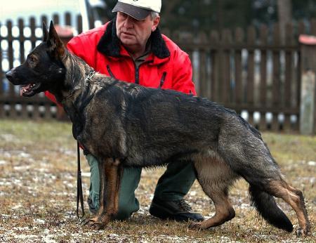 Abby von der Hagenmühle
