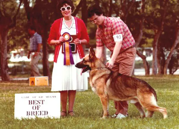 CH (US) Jogra's Miko