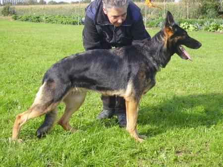 Birka von Ralph haus