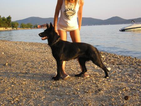 SG Vénuszvölgyi-Vitéz Enjoy