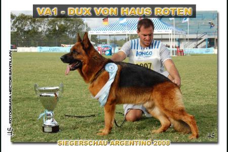 VA 1 Dux Von Haus Roten