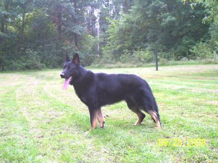 James Patrick vom Evermore