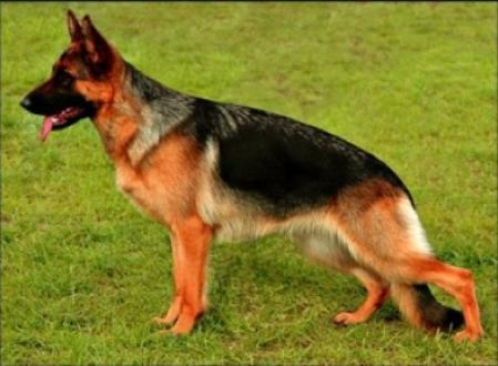 Haus Haargaard Xelma