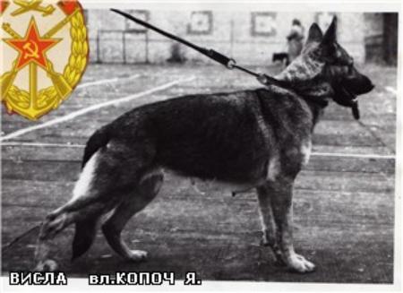 JHKL-SIEGERIN(DNEPR) Wisla (USSR) C 0012/83