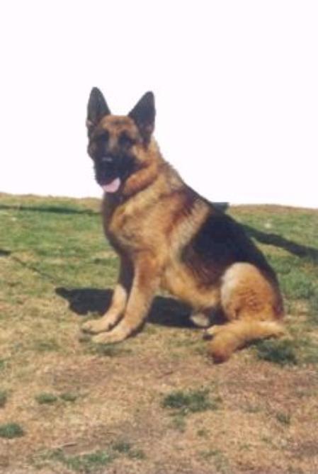 V Félix Del Puente Del Hierro