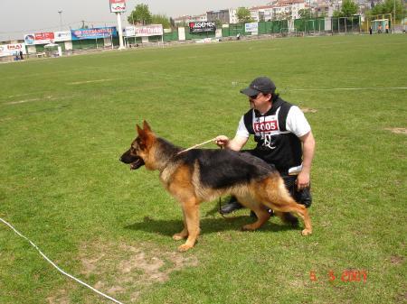 SG1 ( TR ) 2007 Zoff vom Bad Waldle