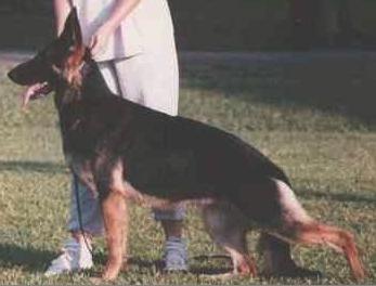 von Sturdevant's Sweet Sarah