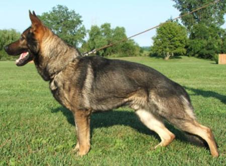 SG Inges vom Räuber Hotzenplotz