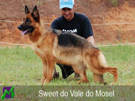 SG Sweet do Vale do Mosel