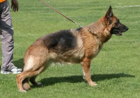 Jasmin del Gran Ondo