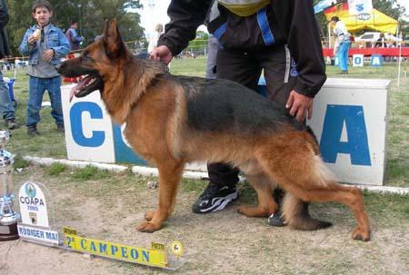 Lao Del Viejo Nogal