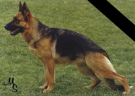 V Anita z Agíru Bohemia