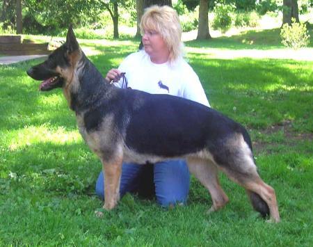 Ro-Jon's Kali V Jo-Lin