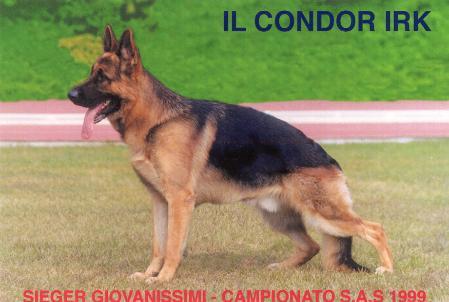 V13 (I) IL Condor Irk