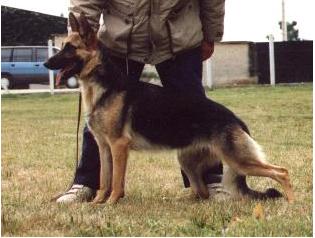 Hi-Ti Du Val Des Hurles Vent