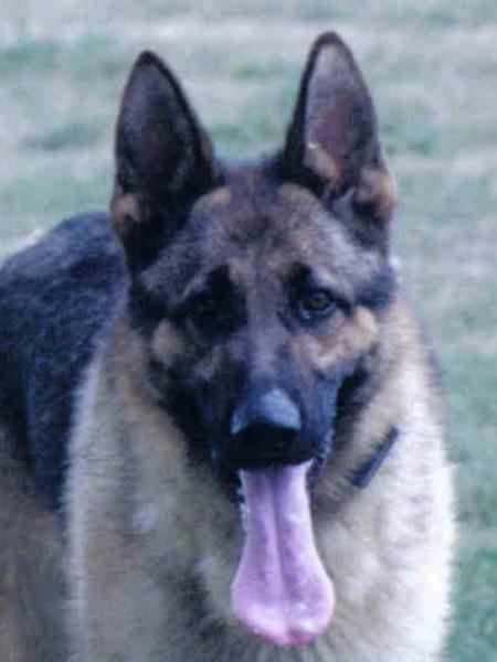 Bruno von Zimmerschmitt