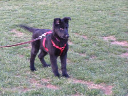 Ria von Schneiden Fels