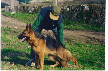 Duda da Casa Da Gordage