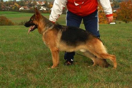 Emo von der Teufelskanzel