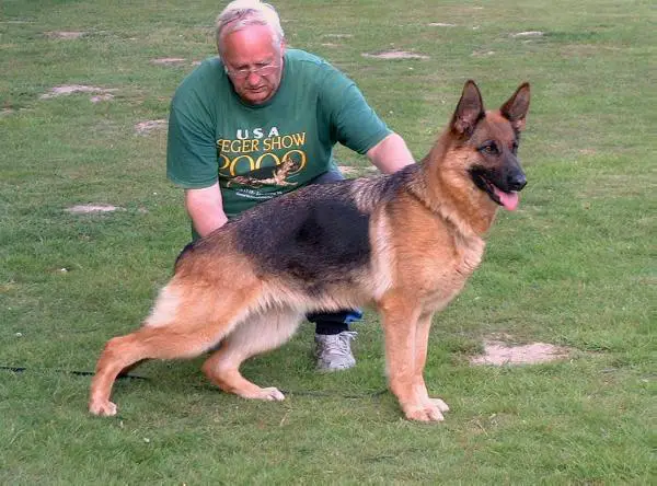 V Utha vom Gödinghofer Weg