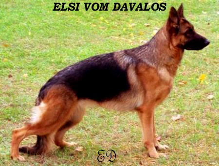 Elsi Vom Davalos