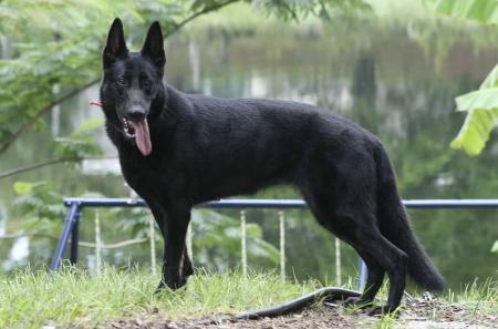 Lilly Marlen Von der Muff