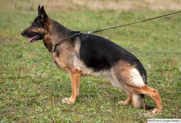 Zilber Wasserfall Chernika