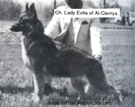 CH (US) Lady Evita of Al-Clemya